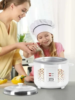 Excel Electric Rice Cooker