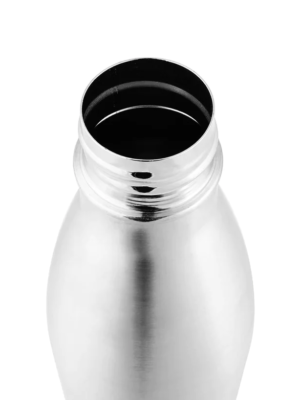 Shine Stainless Steel Bottle